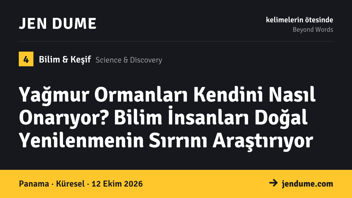 Bilim & Keşif: Yağmur Ormanları Kendini Nasıl Onarıyor? Bilim İnsanları Doğal Yenilenmenin Sırrını Araştırıyor